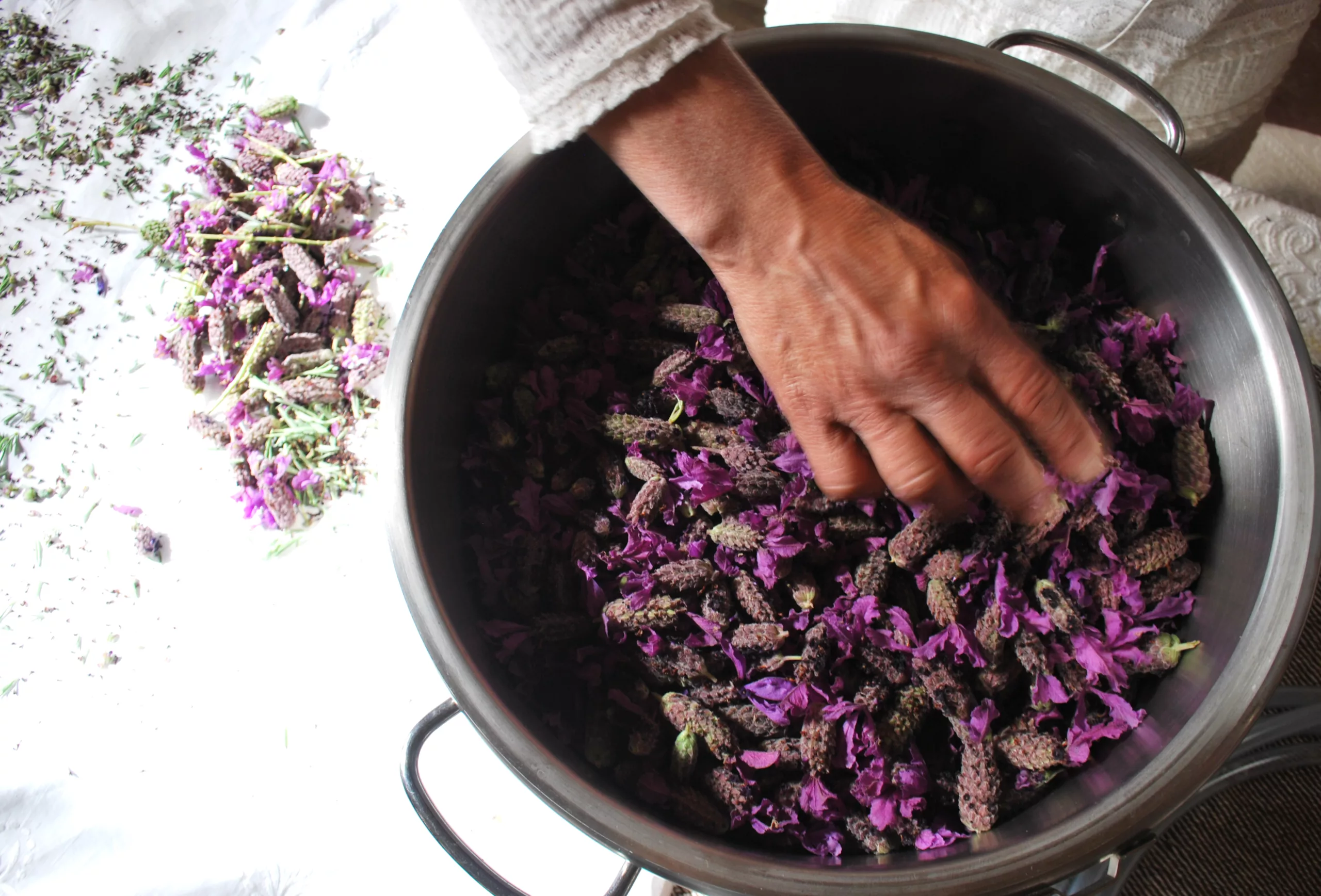 Olio essenziale Lavanda ibrida o Lavandino - Naturetica