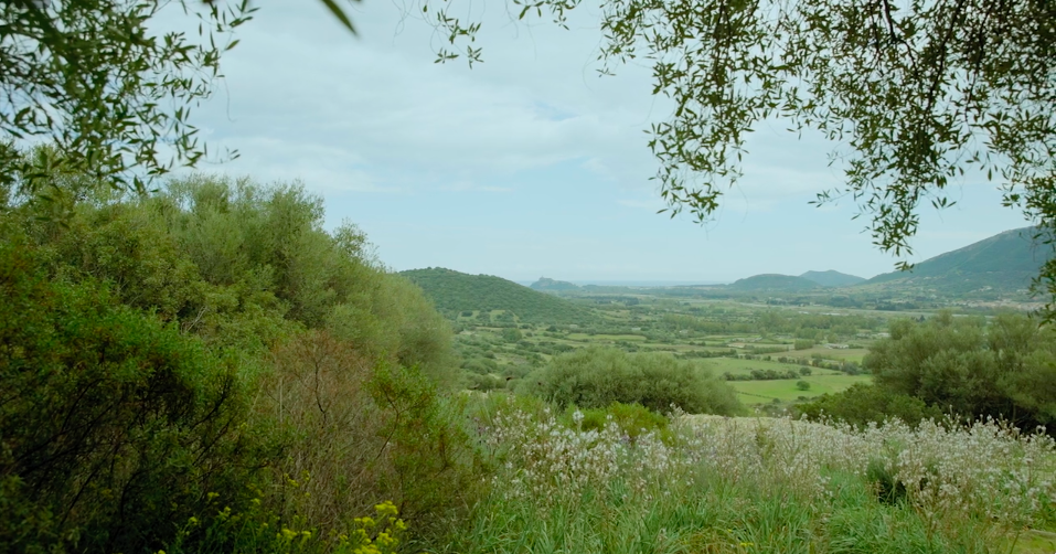 SOSTENIBILITA AMBIENTALE IN SARDEGNA